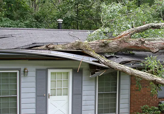 Whether you need a minor roof repair, emergency roofing service, or new roof and replacement shingles, our Canonsburg, PA roofers are here to help you. 