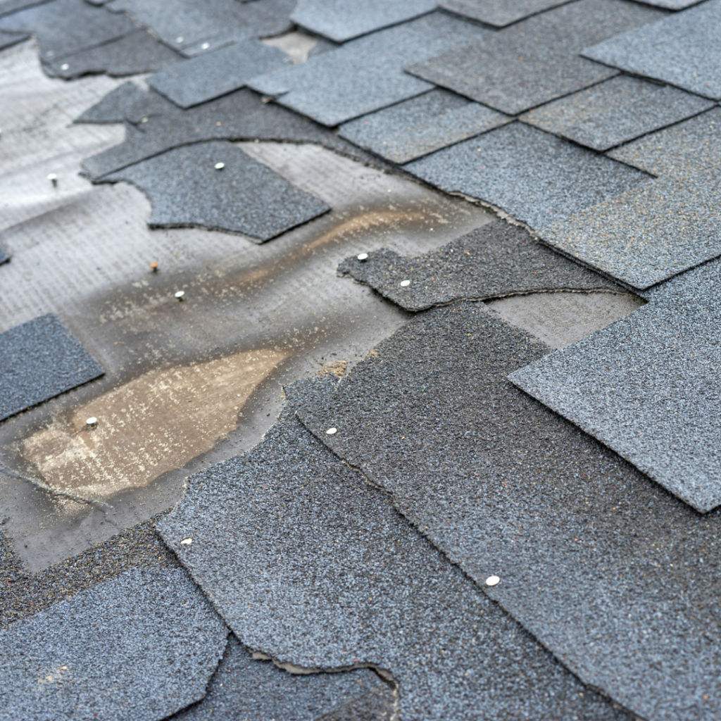 Should you repair or replace your Canonsburg, PA, roof.