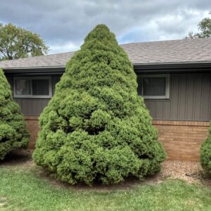 Moon Township, PA Home Improvement: Musket Brown Soffit, Fascia, and Siding Upgrade