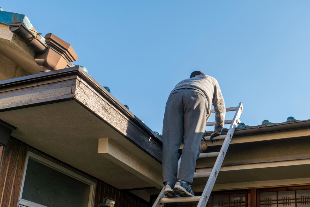 Why You Should Always Hire a Professional for Roof Repairs